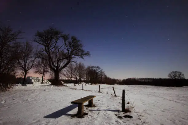 Night landscape with snow, iluminated by moonlight, the constellation Big Dipper is sen in the night sky