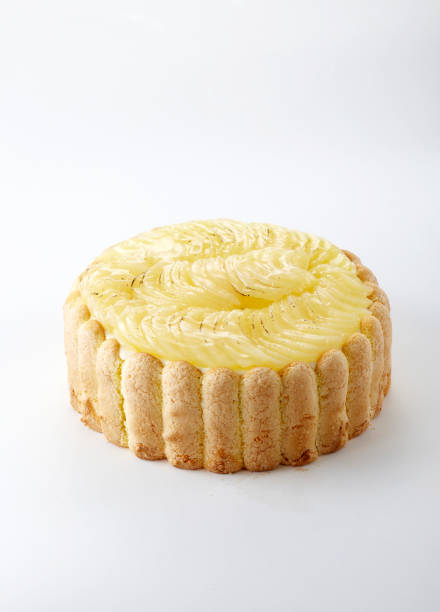 istock Delicious apple pie finger biscuit cake 1087445396