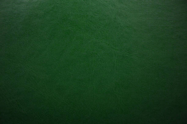 fondo verde con textura cuero. resumen textura de piel. - cuero fotografías e imágenes de stock