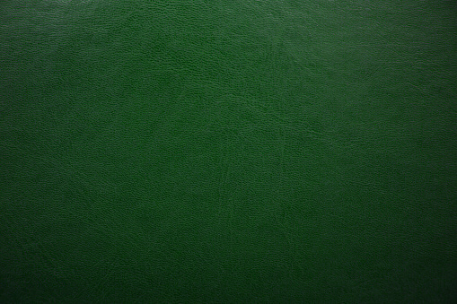 Green textured leather background. Abstract leather texture
