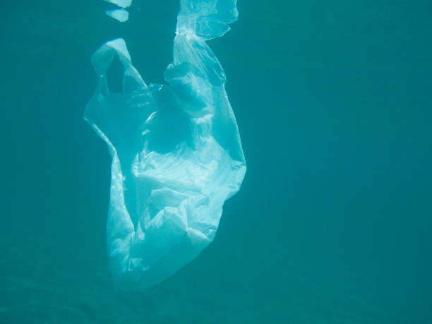 istock Plastic bag floating into the sea. Polluted environmental. Recycle 1087453384