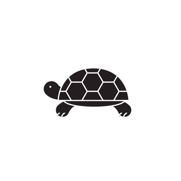 schildkröte schwarz vektor-konzept-symbol. schildkröte flache abbildung, zeichen - landschildkröte stock-grafiken, -clipart, -cartoons und -symbole