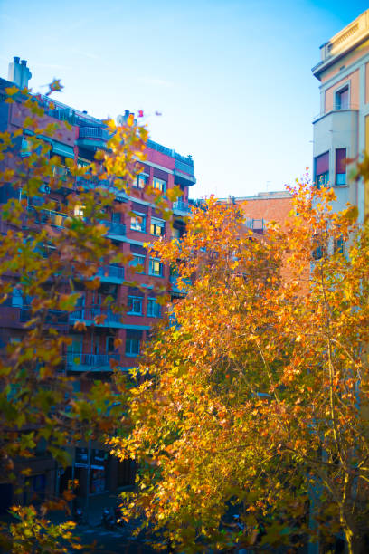 istock Street view in Barcelona, Spain 1087465372
