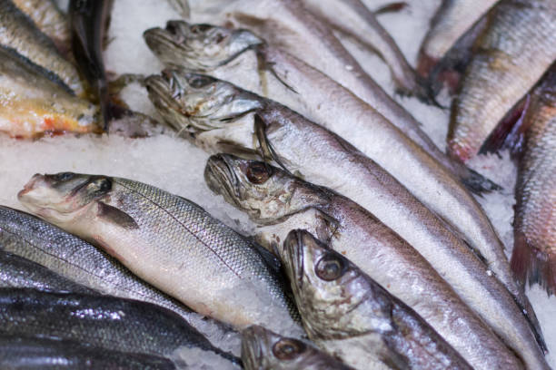 istock frozen fish in the ice in the store 1087477434