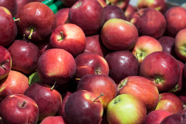 istock red apples in a box in a supermarket 1087478154
