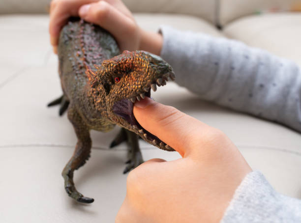 istock kid playing a Carcharodontosaurus toy and putting his finger inside the mouth 1087482082