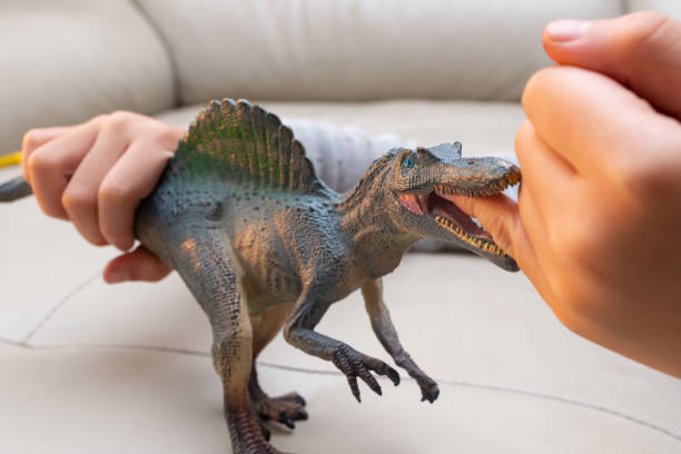 istock kid playing a spinosaurus toy and putting his finger inside the mouth 1087482132