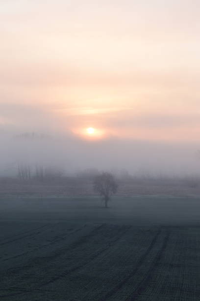 istock sunrise in fog 1087482414