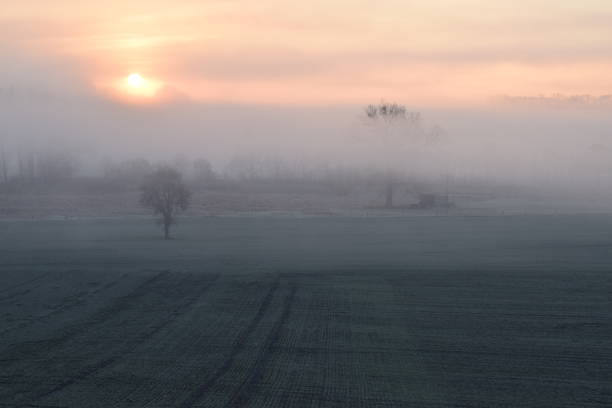 istock sunrise in fog 1087482496