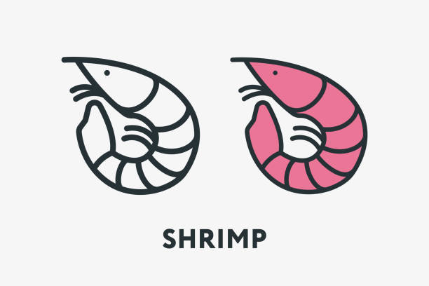 Shrimp Prawn Seafood Minimal Flat Line Outline Colorful and Stroke Icon Pictogram Shrimp Prawn Seafood Minimal Flat Line Outline Colorful and Stroke Icon Pictogram shrimp prepared shrimp prawn cartoon stock illustrations