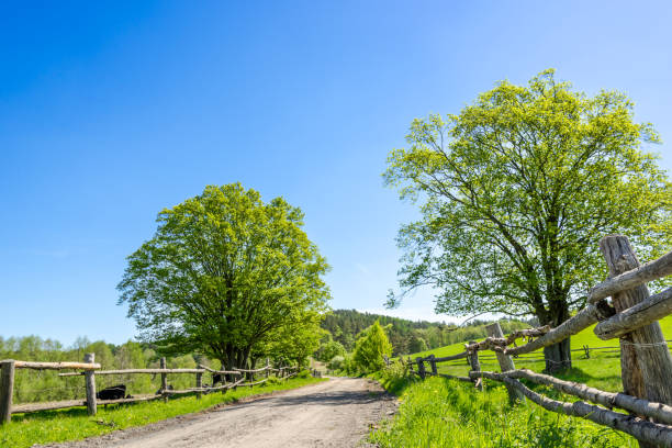 paesaggio di campagna con fattoria sotto il cielo blu, scena rurale con strada sterrata attraverso il campo - poland rural scene scenics pasture foto e immagini stock