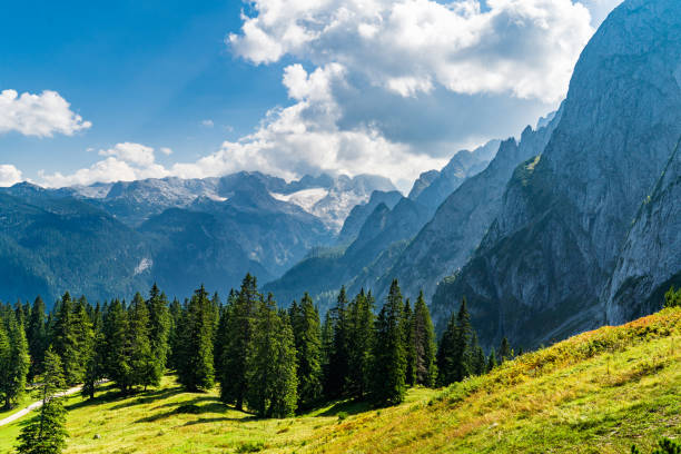 istock Mountains near the Vorderer Gosausee (Lake gosau) 1087499296