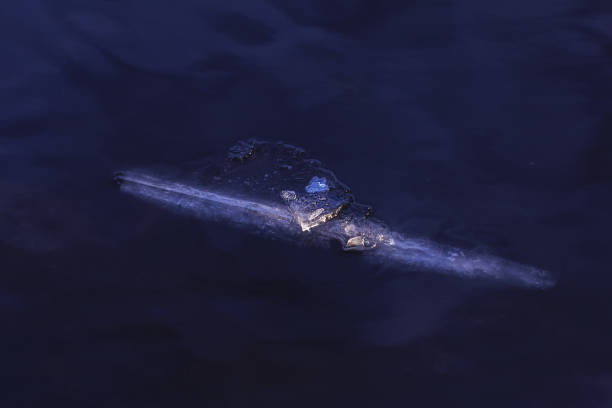istock Narrow ice floe in dark waters 1087505740