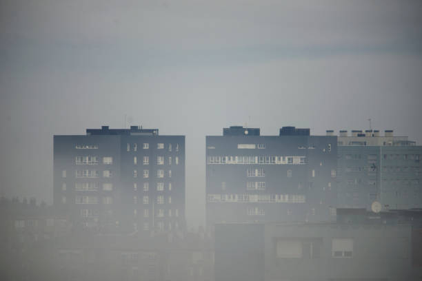 istock winter morning with fog 1087506346