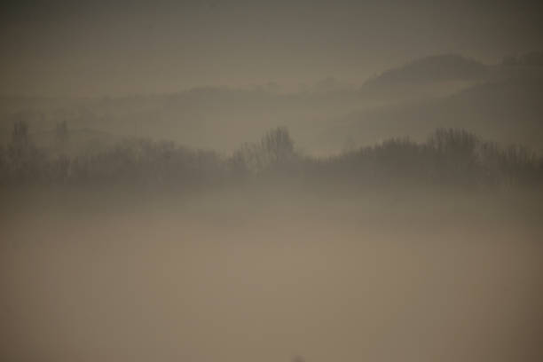 istock winter morning with fog 1087506522