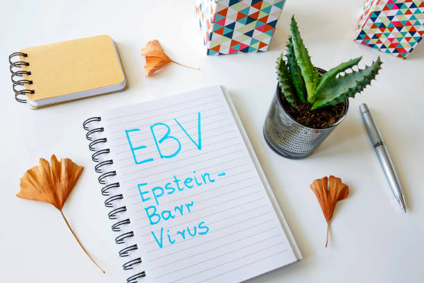 EBV Epstein–Barr virus written in a notebook EBV Epstein–Barr virus written in a notebook on white table epstein barr virus photos stock pictures, royalty-free photos & images