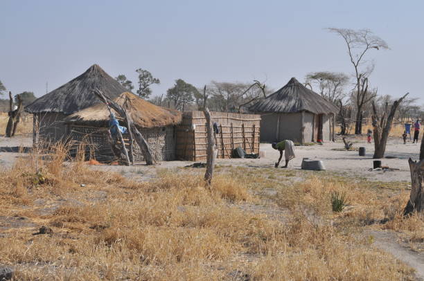 istock Landscape of Chobe National Park, Botswana 1087513126