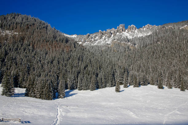 istock winter landscape in Tatra Mountains, Poland 1087516196
