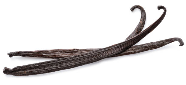 istock Dried vanilla fruits. 1087518336
