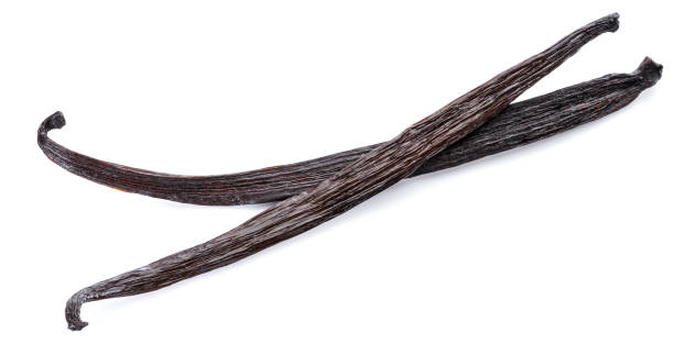istock Dried vanilla fruits. 1087518340