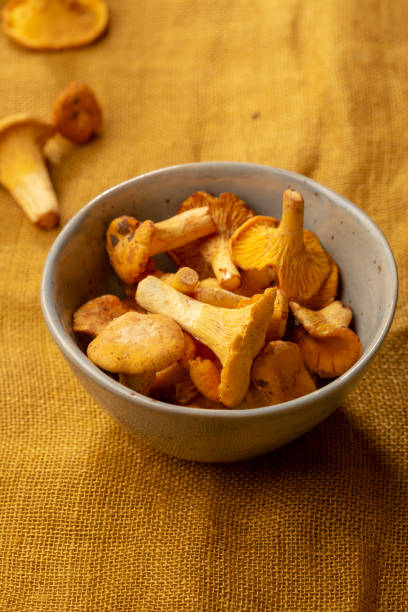 istock Fresh mushrooms in small bowl 1087529240