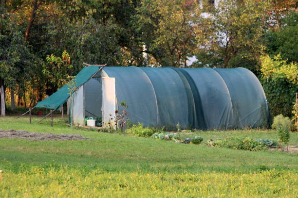 istock Plastic greenhouse covered with protective net and located in backyard garden surrounded with tall trees at sunset 1087531442