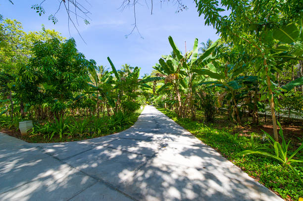 istock Paradise Island in Maldives 1087536866