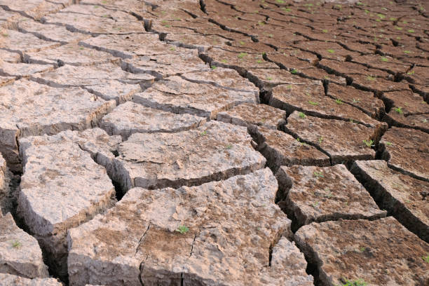 istock Dried and Cracked ground,arid soil close up 1087538964