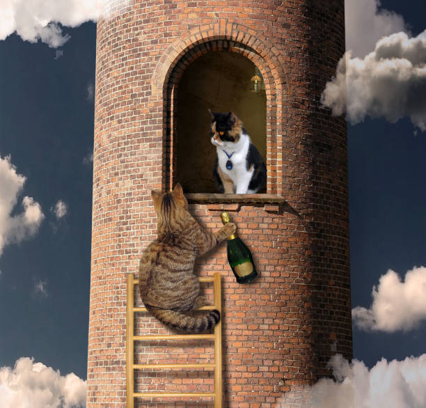 istock Cat climbs to his friend 1087541644