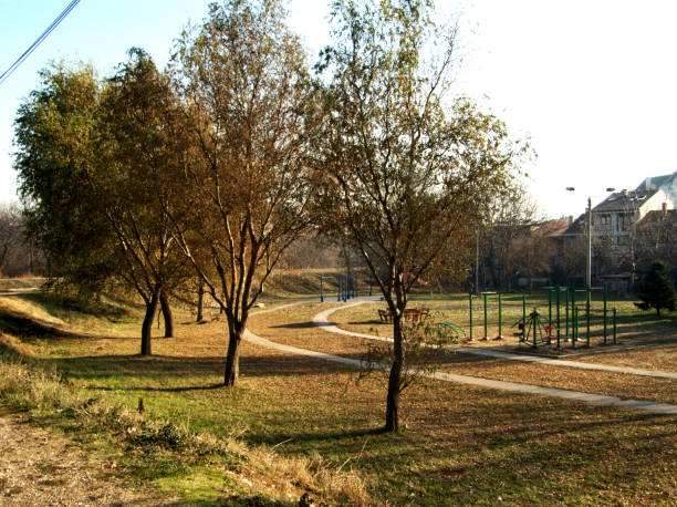 istock Recreation area in the city with a Path for jogging 1087544584