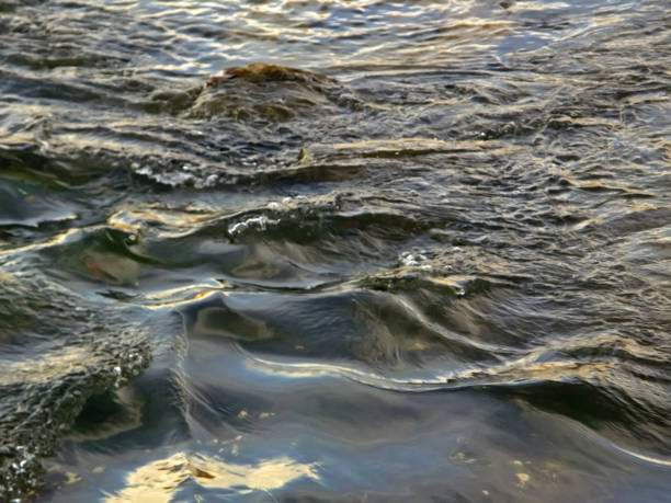 istock Waves on the surface of the river 1087544608