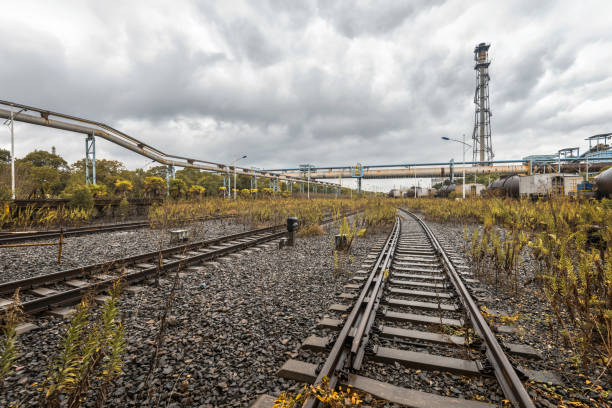 cargo trains stopped on old railroad in abandoned industrial site