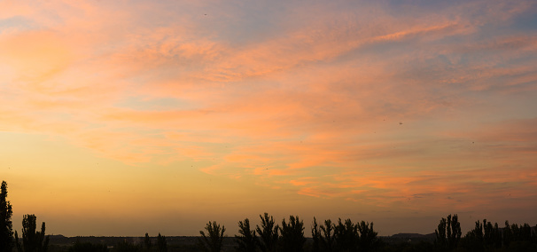 Landscape with dramatic light - beautiful golden sunset with saturated sky and clouds, peaceful nature serene background.