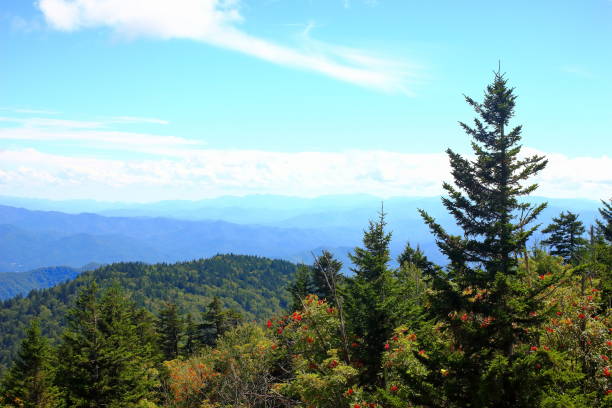 istock Great Smoky Mountains National Park 1087563426