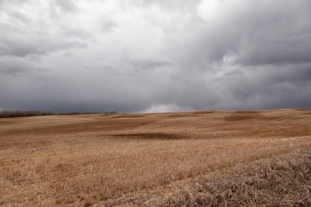 istock Storm forming with stormy cloud over a hay field in Alberta 1087564046