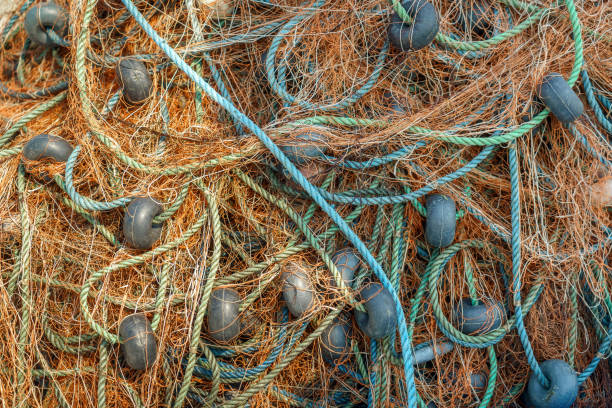 istock Industrial Fishing Equipment Fishnets 1087564190
