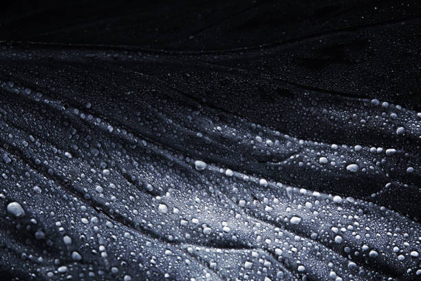 closeup detail of a cabbage leaf with water drops - murky water imagens e fotografias de stock