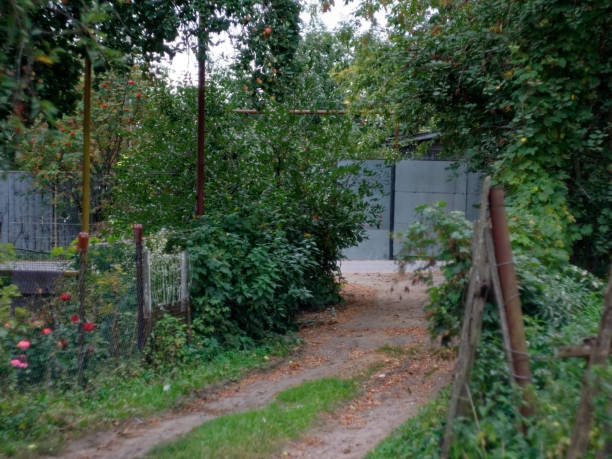 istock old working village in Russia in summer 1087567748