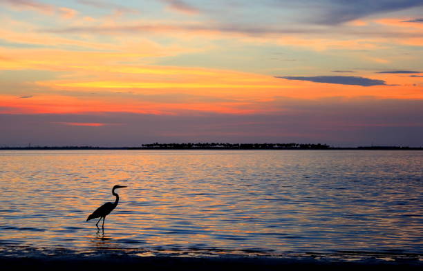 istock Sunset Beach, Tarpon Springs Florida 1087568186