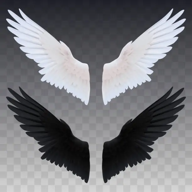 Vector illustration of Black and white realistic wings