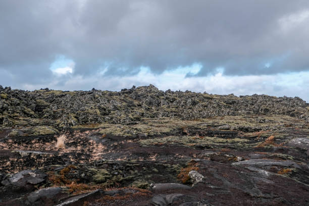 istock Iceland ground rock and fern earth 1087572272