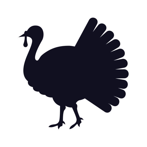 Turkey bird silhouette isolated on white background - Vector Turkey  silhouette isolated on white background thanksgiving holiday silhouettes stock illustrations