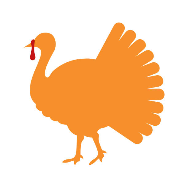흰색 배경-벡터에 고립 된 터키 버드 실루엣 - turkey stock illustrations