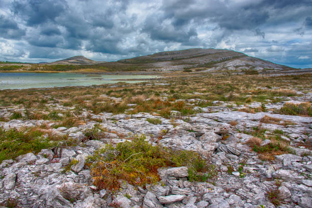 The Burren The Burren National Park in Clare County, Ireland. county clare stock pictures, royalty-free photos & images