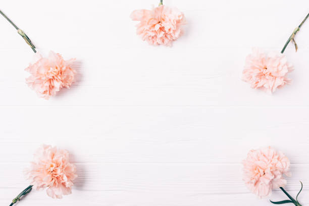 istock Simple flat lay frame of pink flower buds 1087585860