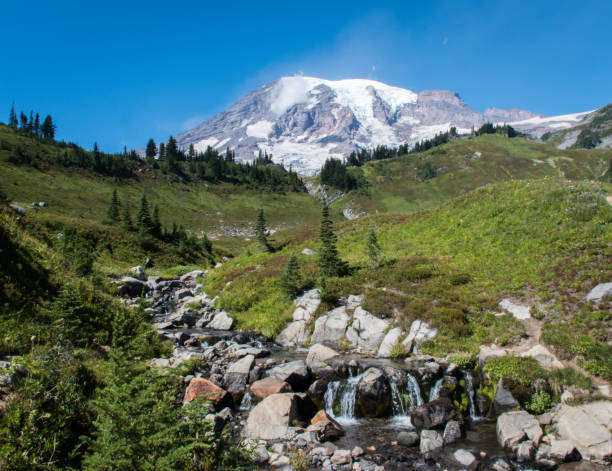 istock View up valley to Mount Rainier 1087585874