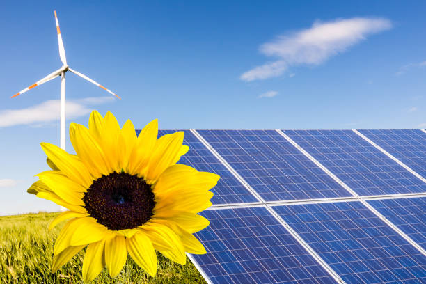 Solar panels renewable energy sustainable resources
