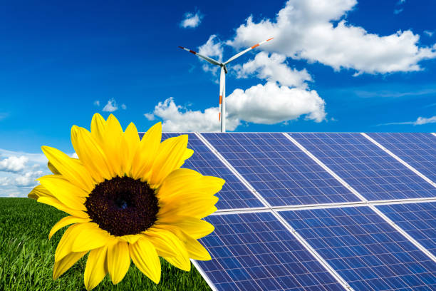 istock wind turbine sunflower 1087587774