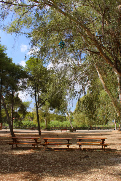 istock Tritsis public park in Athens 1087589518