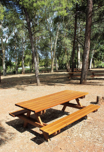 istock Tritsis public park in Athens 1087589818